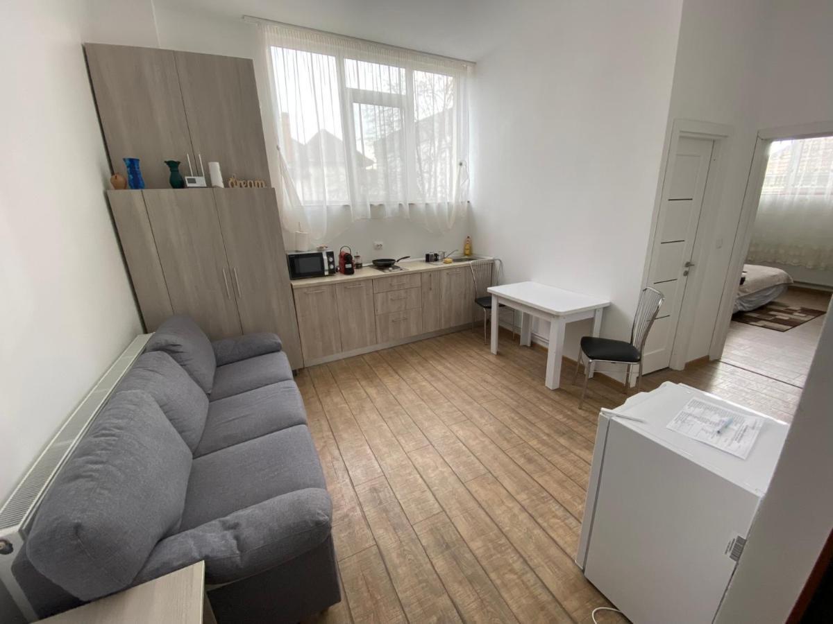 Neva Apartments Fagaras Bagian luar foto